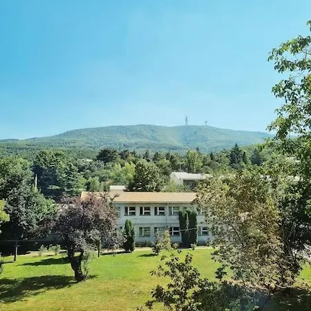 New Cozy * Skopje