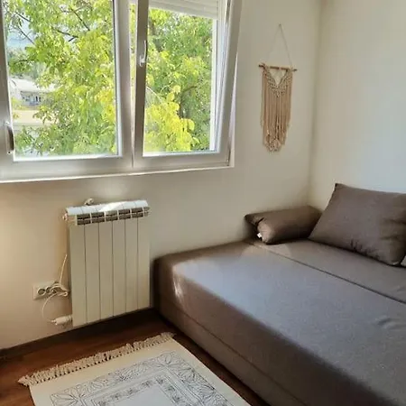 New Cozy *