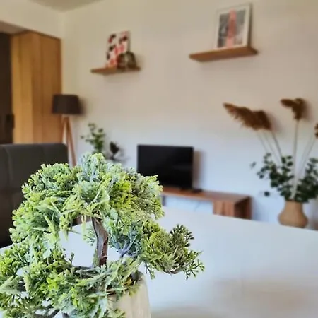 Apartment New Cozy